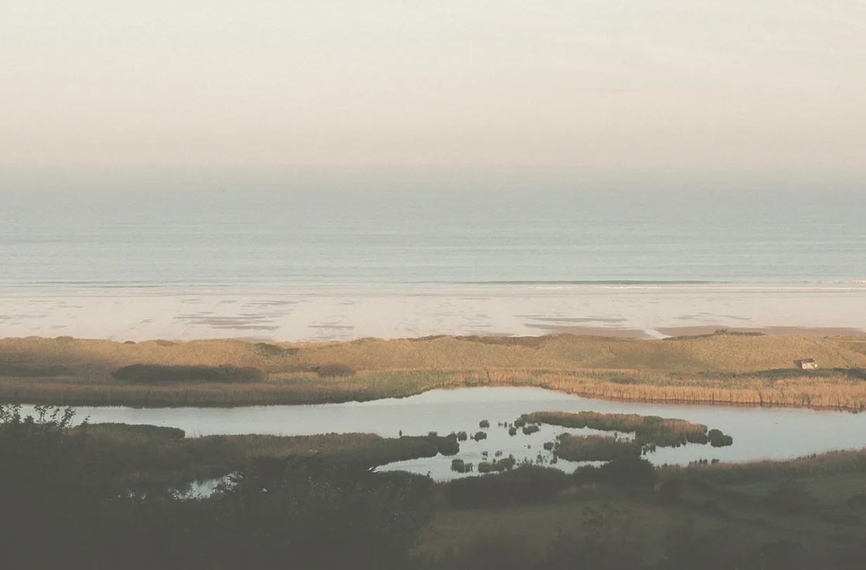 Titel: Küstenlandschaft bei La Hague Alternativtext: Schilf und Wasserflächen im Vordergrund, dahinter ein breiter Strand und das Meer unter einem hellen Himmel.